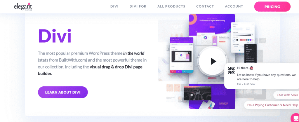 divi theme