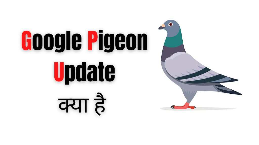 What Google pigeon update