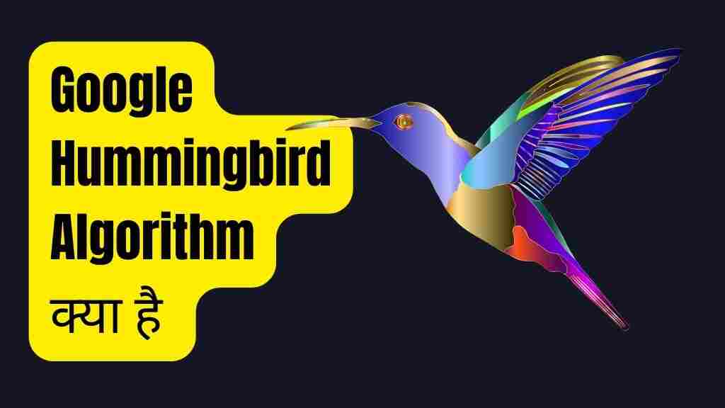 What is google hummingbird algorithm